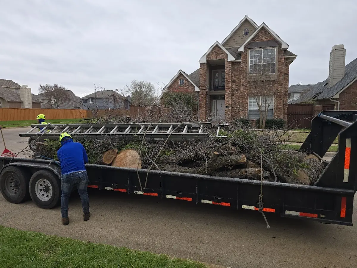 Expert Lot Clearing with proper safety equipment in King Ferry